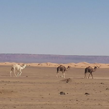 Nomad Camp Merzouga Extérieur photo